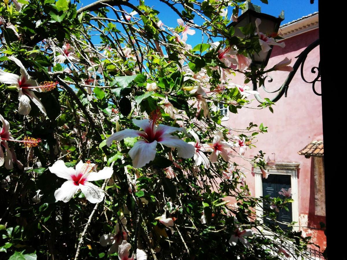 Venetian Well Cozy Apartment Corfu Old Town Bagian luar foto